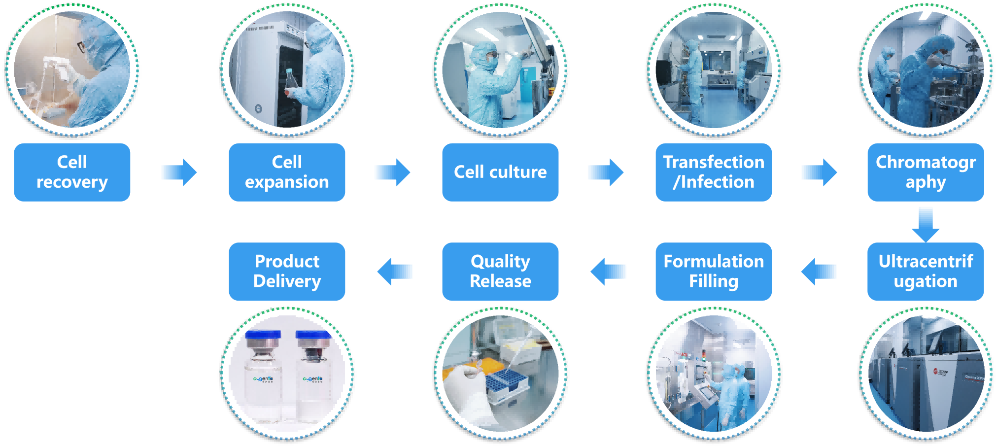 Durg substance manufacture process of AAV