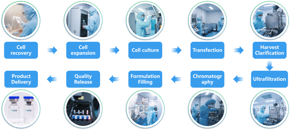 Lentiviral vector Production Process